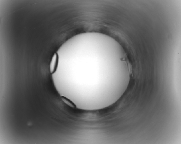 X0000088130756200706041319