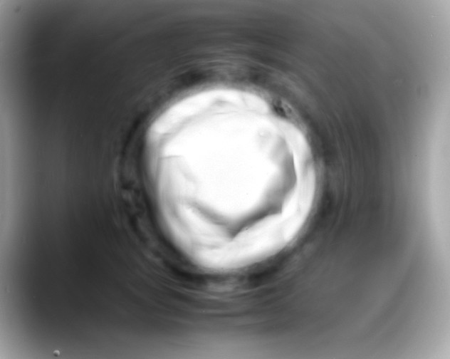 X0000088130757200706041319