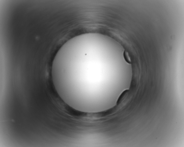 X0000088130758200706041319