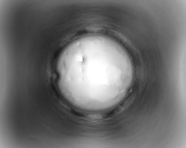 X0000088130761200706041319