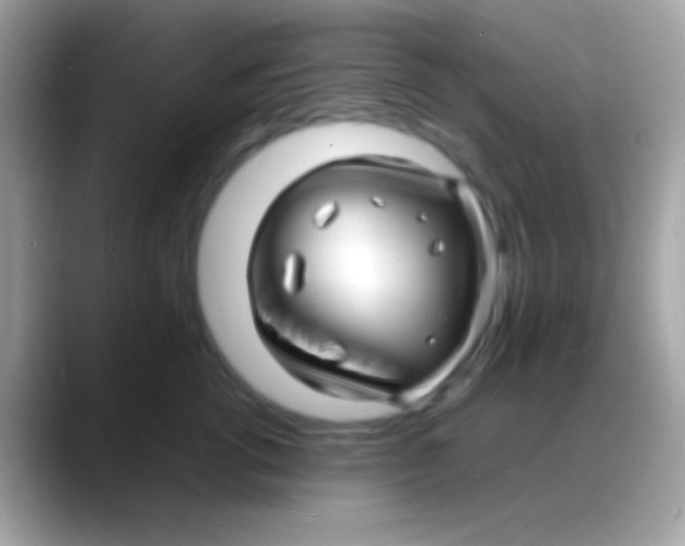 X0000088130762200706041319