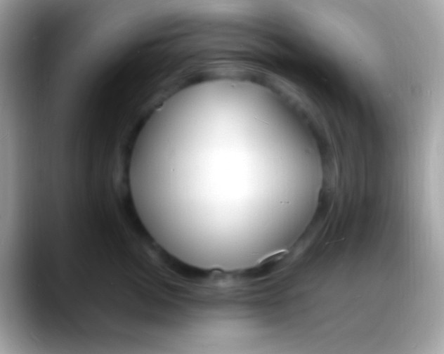 X0000088130764200706041319