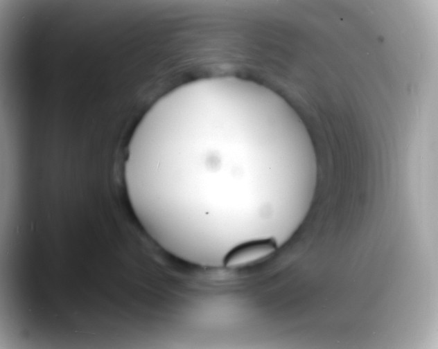 X0000088130768200706041319