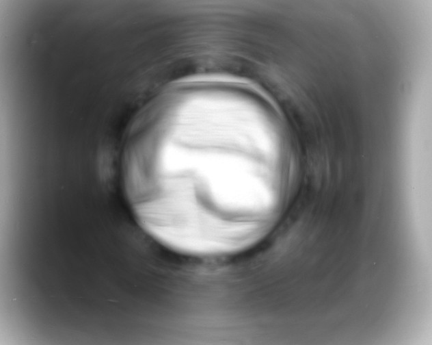 X0000088130770200706041318