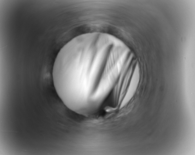 X0000088130771200706041318