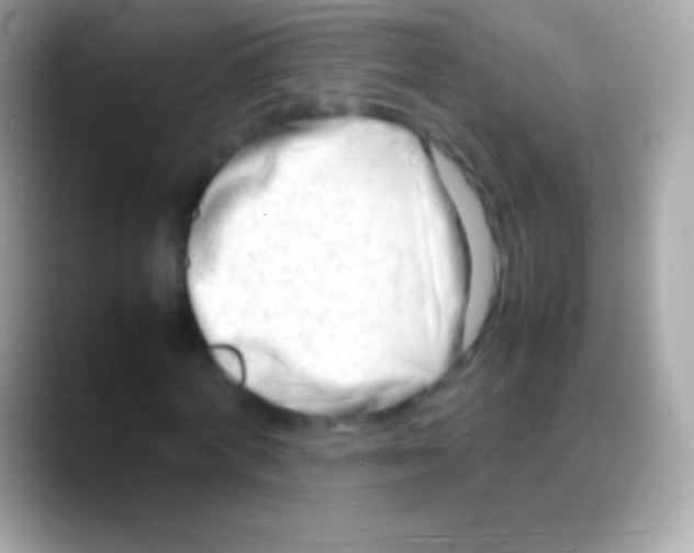 X0000088130772200706041318