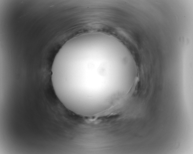 X0000088130773200706041318