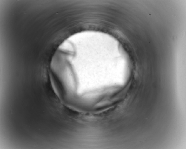 X0000088130774200706041318