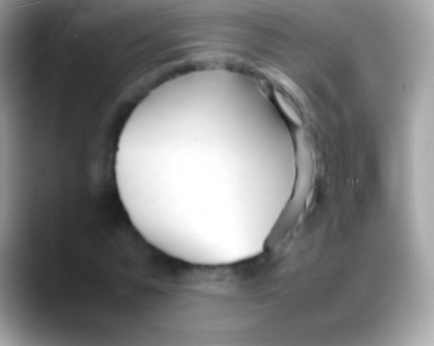 X0000088130775200706041318