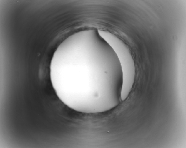 X0000088130776200706041318