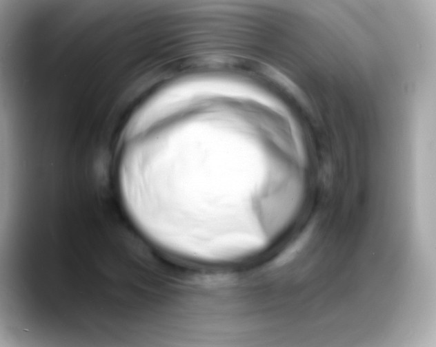 X0000088130778200706041318