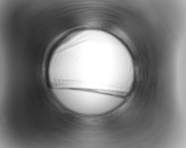 X0000088130780200706041318