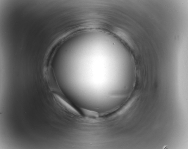 X0000088130781200706041318