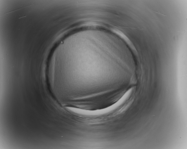 X0000088130783200706041318