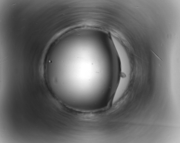 X0000088130784200706041318