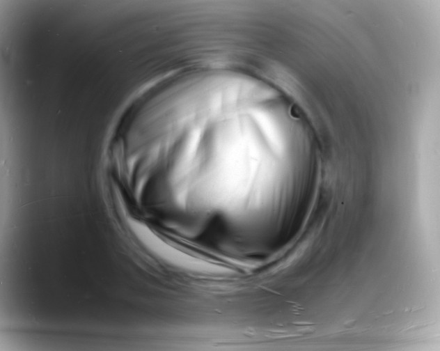 X0000088130787200706041318