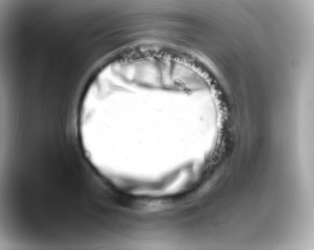 X0000088130791200706041318