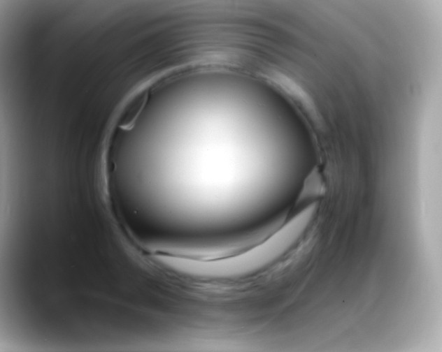 X0000088130792200706041318