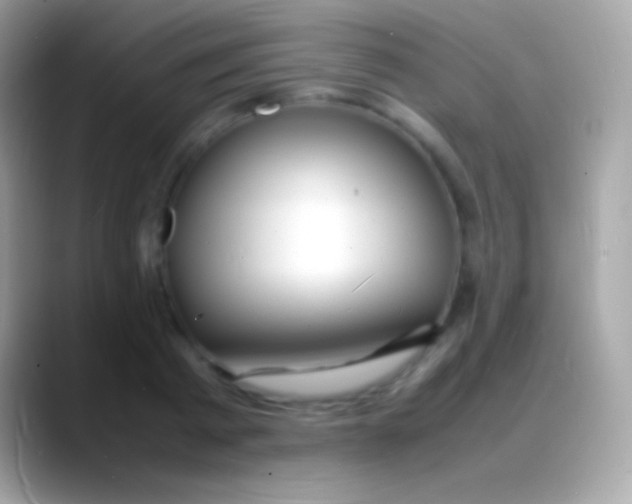 X0000088130793200706041318