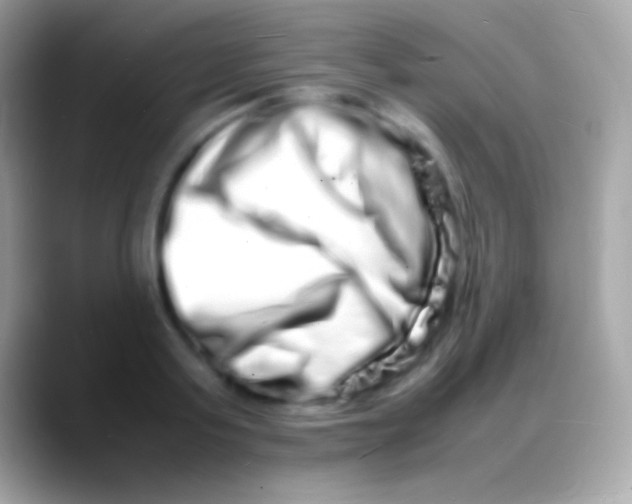 X0000088130795200706041318