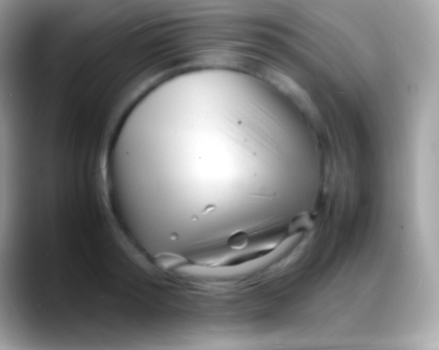 X0000088130796200706041318