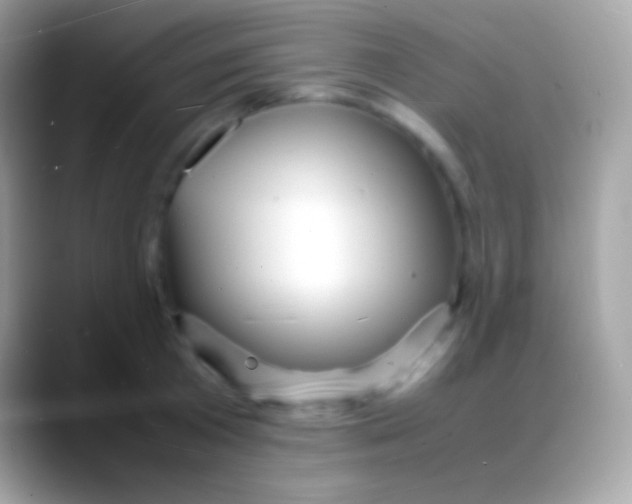 X0000088130801200706041318