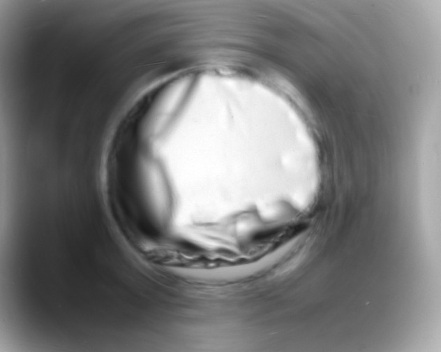 X0000088130803200706041318