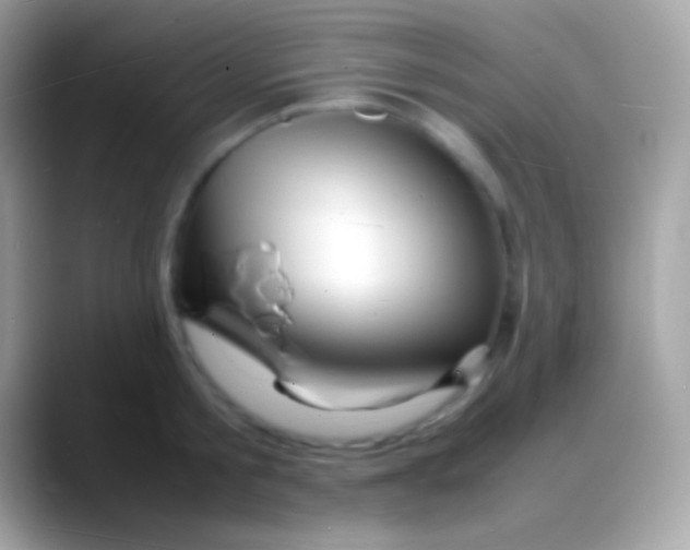 X0000088130805200706041318