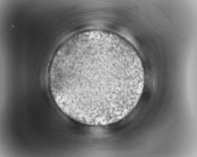 X0000088130807200706041318