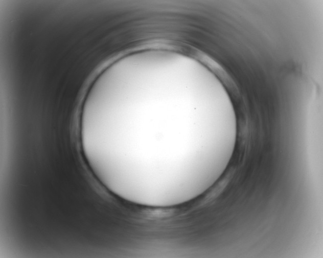 X0000088130808200706041318