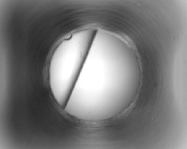 X0000088130816200706041318