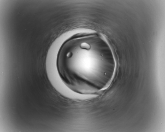 X0000088130818200706041317