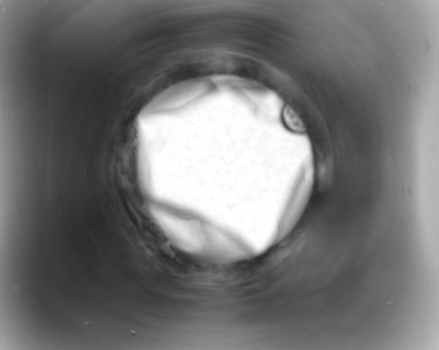 X0000088130819200706041317