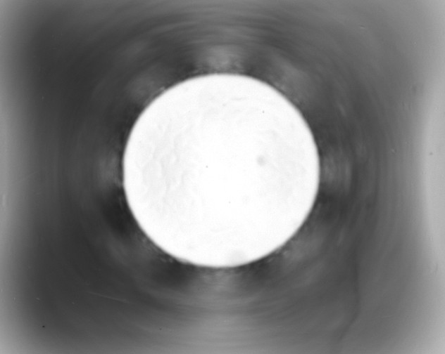 X0000088130820200706041317