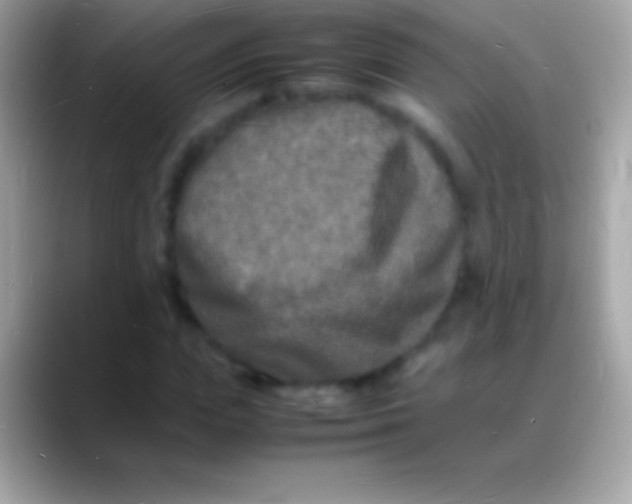 X0000088130823200706041317