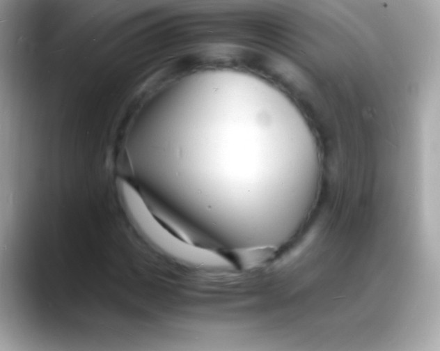 X0000088130825200706041317