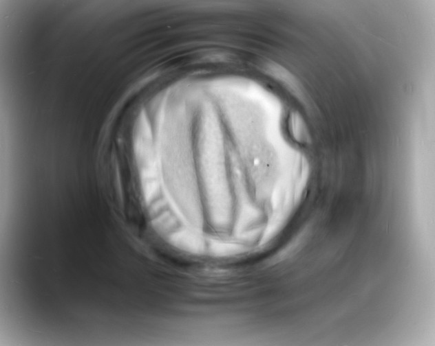 X0000088130827200706041317