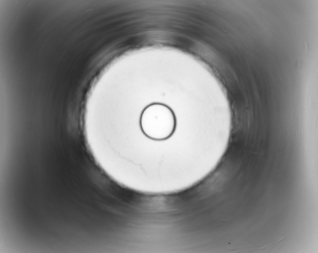 X0000088130828200706041317