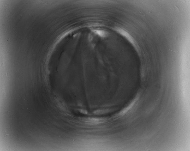 X0000088130829200706041317