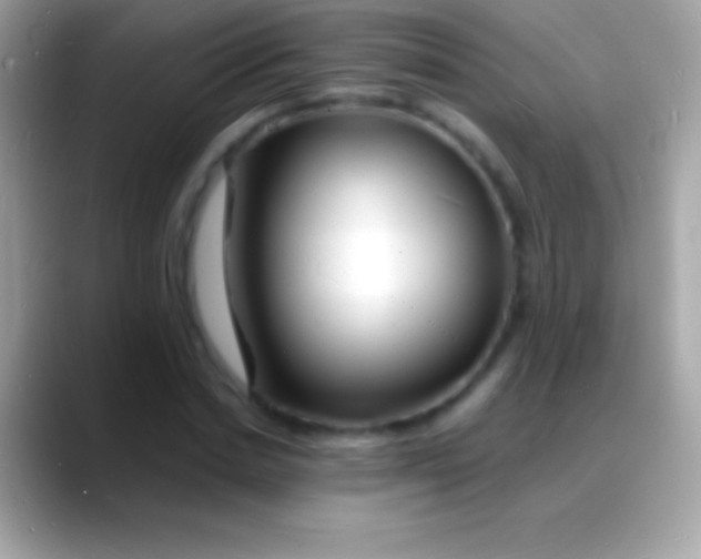 X0000088130830200706041317