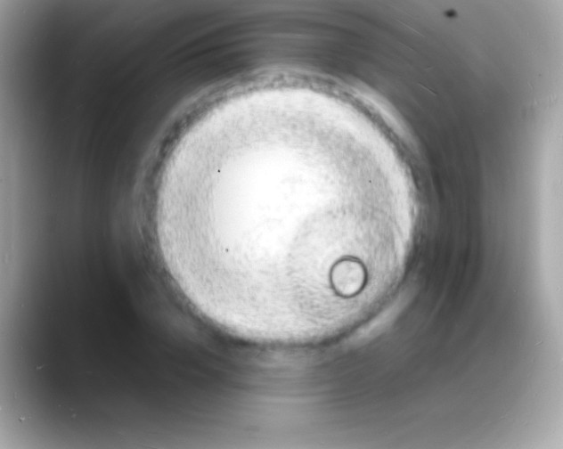 X0000088130832200706041317