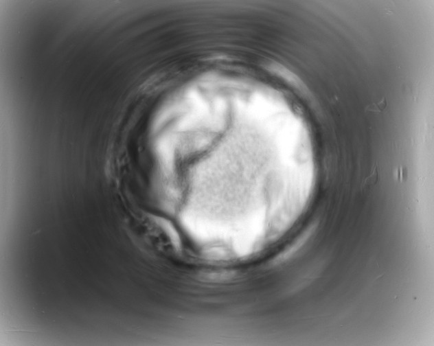 X0000088130833200706041317