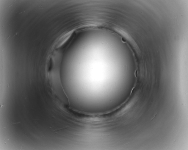 X0000088130834200706041317