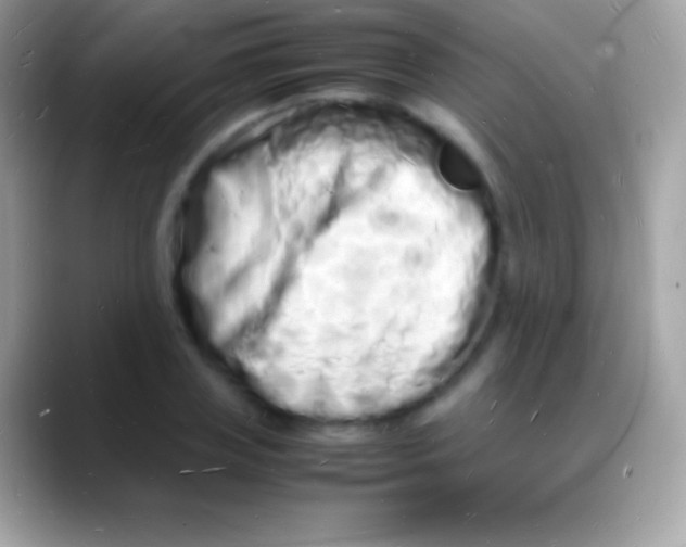 X0000088130835200706041317