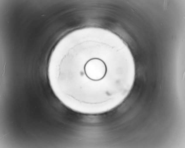 X0000088130836200706041317