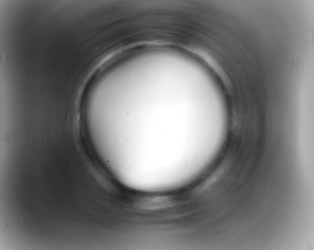 X0000088130837200706041317