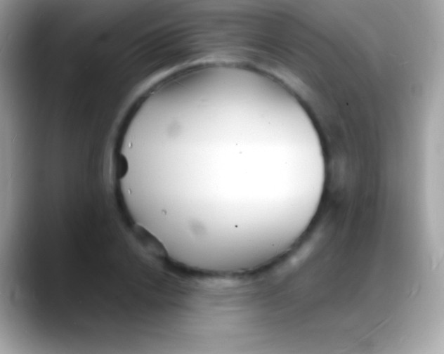 X0000088130838200706041317