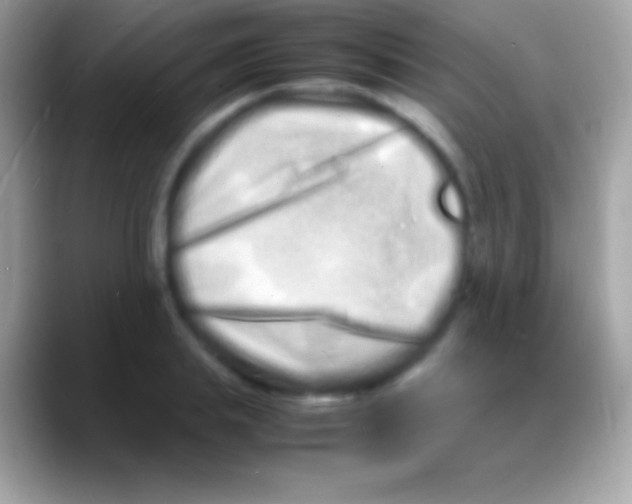 X0000088130839200706041317