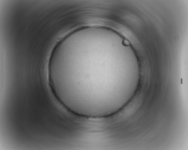 X0000088130840200706041317