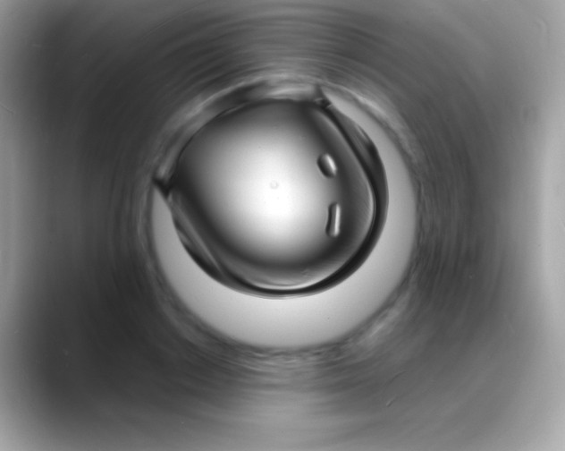 X0000088130842200706041317